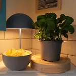 The Biscuit Box Ideal For Couples Or Families * Low Hesket