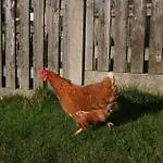 דירה The Biscuit Box Ideal For Couples Or Families Low Hesket