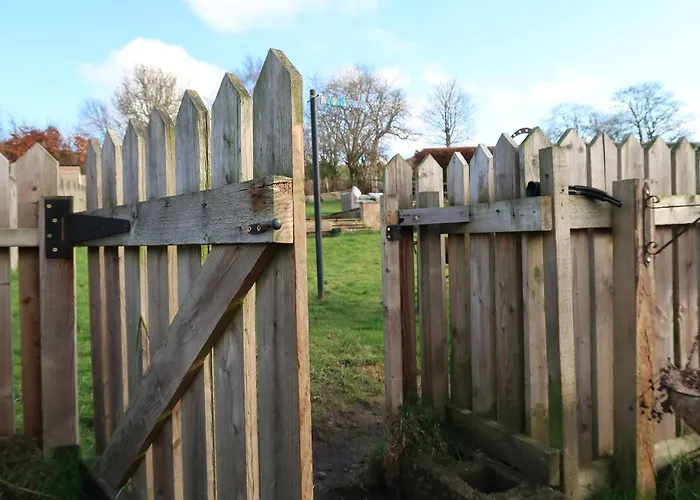 The Biscuit Box Ideal For Couples Or Families
