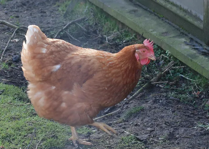 The Biscuit Box Ideal For Couples Or Families شقة *