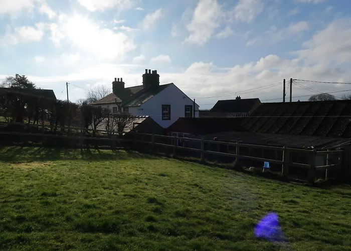 The Biscuit Box Ideal For Couples Or Families *