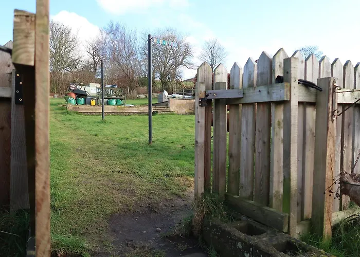 The Biscuit Box Ideal For Couples Or Families