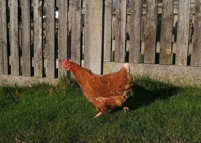 شقة The Biscuit Box Ideal For Couples Or Families Low Hesket